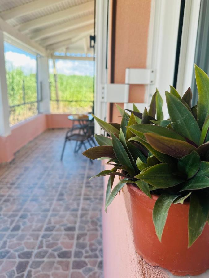 Venetian Gem Central Corfu Retreat Канони Экстерьер фото